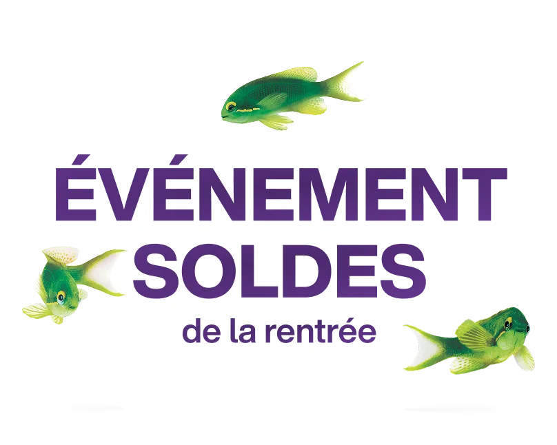Trois poissons verts sont positionnés autour du texte « ÉVÉNEMENT SOLDES de la rentrée », un se trouve dans la partie supérieure, un second sur le côté gauche et un troisième dans la partie inférieure droite de l'image.