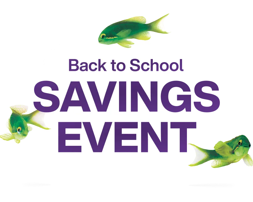 Three green fish are positioned around the text 'Back to School SAVINGS EVENT' one in the upper portion, one on the left side, and one in the lower right area of the image.