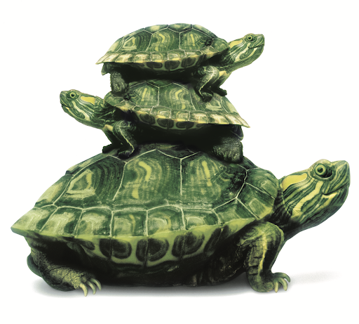Two smaller, green tortoises stacked on top of a larger tortoise.
