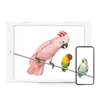 Tablet and smartphone displaying a pink cockatoo and two smaller birds perched on a wire.