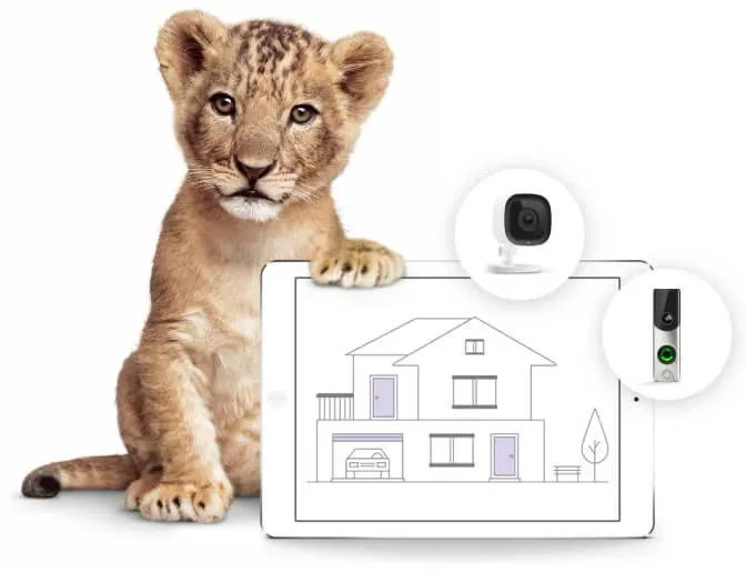 A lion cub shows floorplans and SmartHome security devices