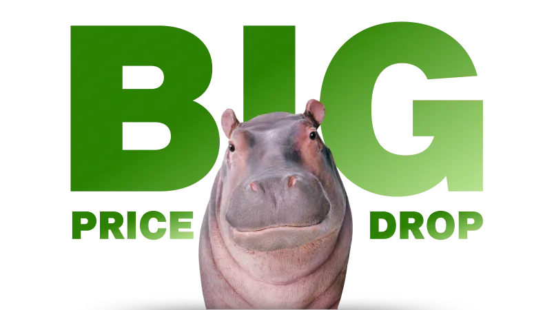 Big Price Drop. Hippopotamus.