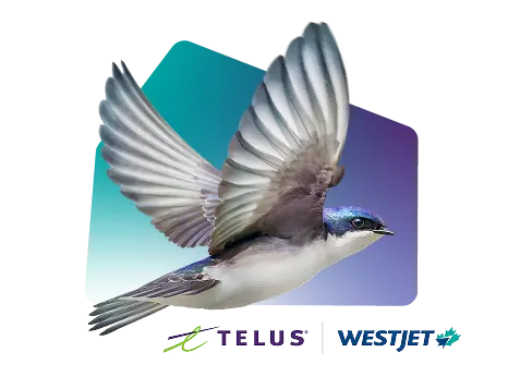 A bird in flight with wings spread, set against a gradient background, with TELUS and WestJet logos below.
