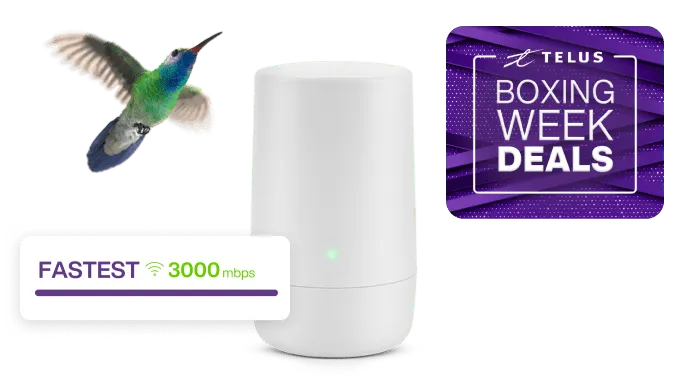 Home Internet - Get Unlimited High Speed Internet | TELUS