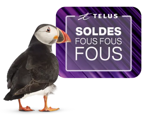 Un Macareux se tient devant un logo qui dit : « Offres des Soldes fous fous fous ».