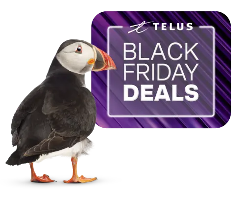 A Puffin stands infront of a logo that reads, "Black Friday Deals".