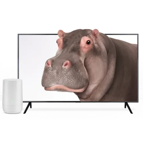 A TV and TELUS modem. The TV screen displays a hippo.