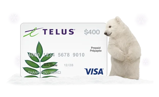 A polar bear standing next to a $400 Visa Prepaid card.