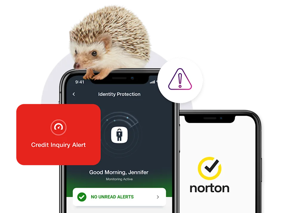 Explore Bank, Credit & Dark  Monitoring TELUS