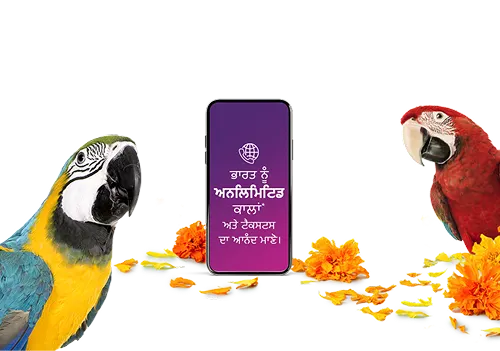 Deux perroquets aras positionnés autour d'un téléphone intelligent avec un texte promotionnel indiquant « Profitez d'appels et de textos illimités vers l'Inde » avec des pétales de fleurs orange et jaunes dispersés autour.