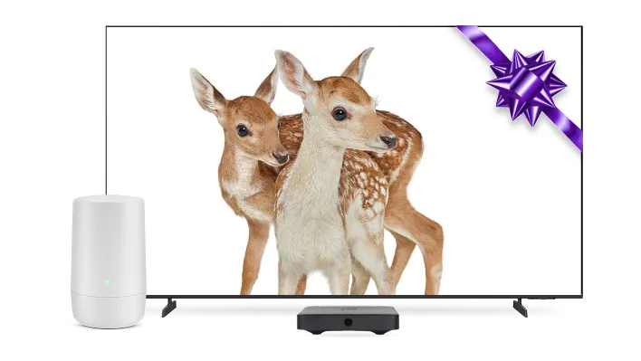 Une télévision et un modem TELUS. L'écran de télévision affiche deux cerfs et un nœud papillon violet.