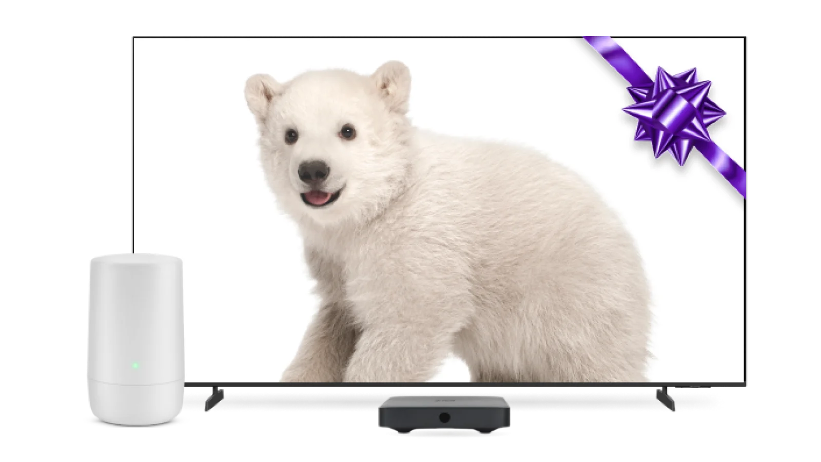 Une télévision et un modem TELUS. L'écran de télévision affiche un ours polaire et un nœud papillon violet.
