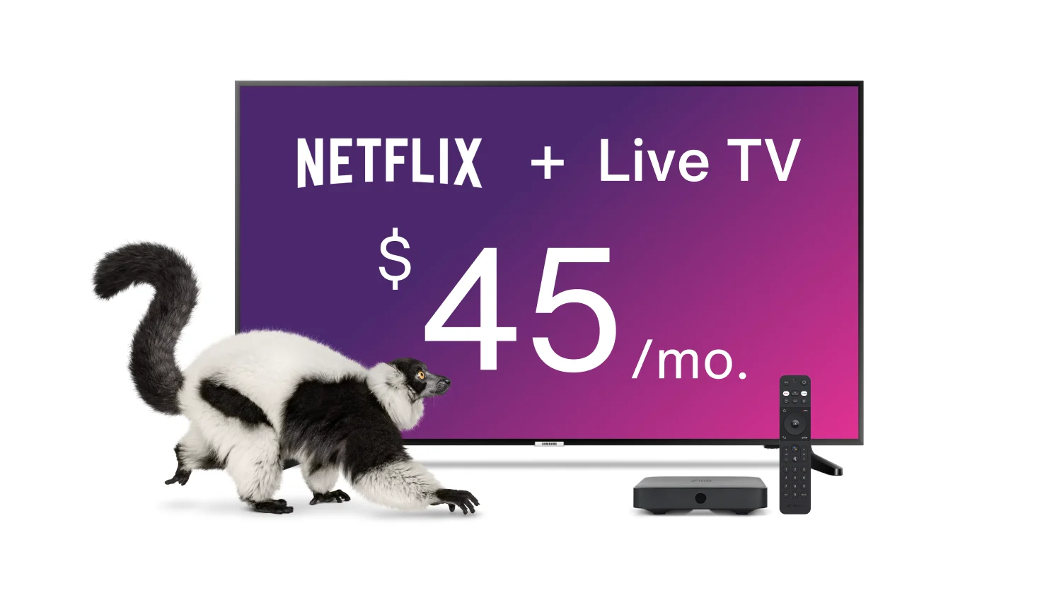 A TV displays the Optik TV offer of live TV and Netflix together with a TELUS TV Digital Box while a lemur looks on.