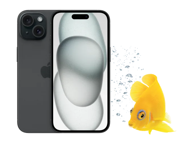 Un poisson jaune faisant face à l'avant et à l'arrière de l'iPhone 15.