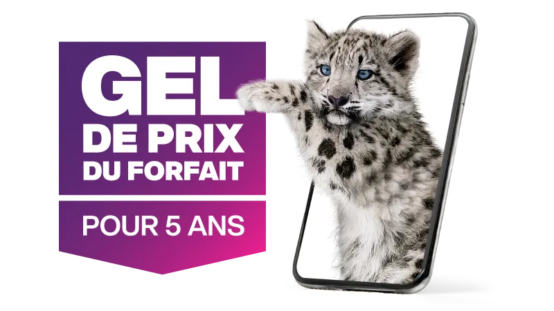 Un léopard des neiges émerge d’un téléphone intelligent. Gel de prix du forfait pour 5 ans.
