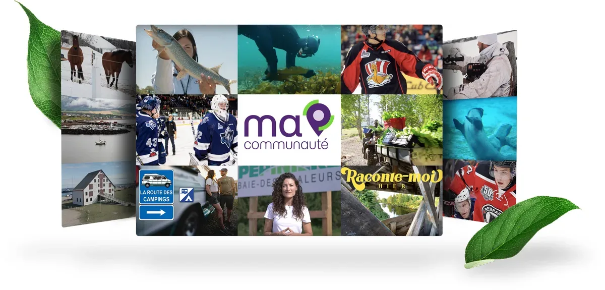 Collage d'émissions originales, produites localement, à la chaîne de télévision maCommunauté