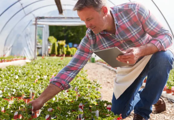 Man in a garden holding a tablet