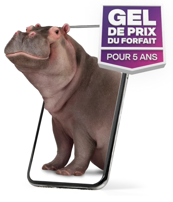 Graphique du « GEL DE PRIX DU FORFAIT POUR 5 ANS » avec une fleur violette qui en sortent.