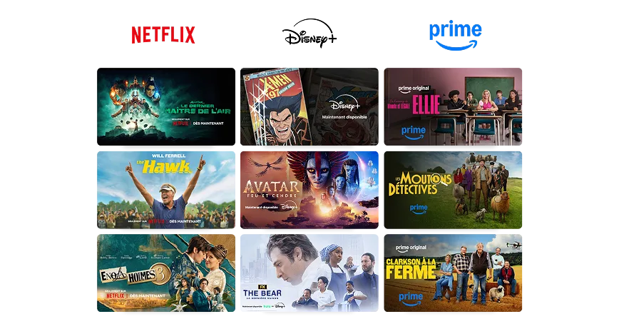 Une grille présentant le contenu de Netflix, Disney+ et Prime Video, notamment The Hawk, The Bear et Ellie.