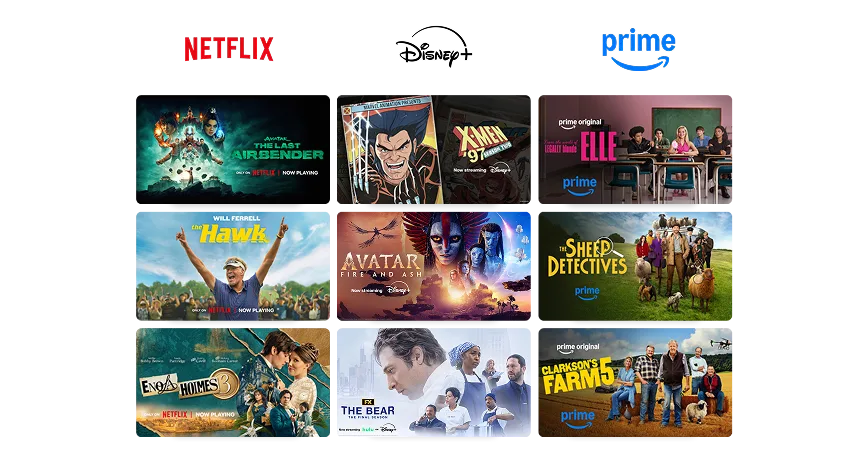 A grid showing Netflix, Disney+, Prime Video content including The Hawk, The Bear, Ellie, among others.