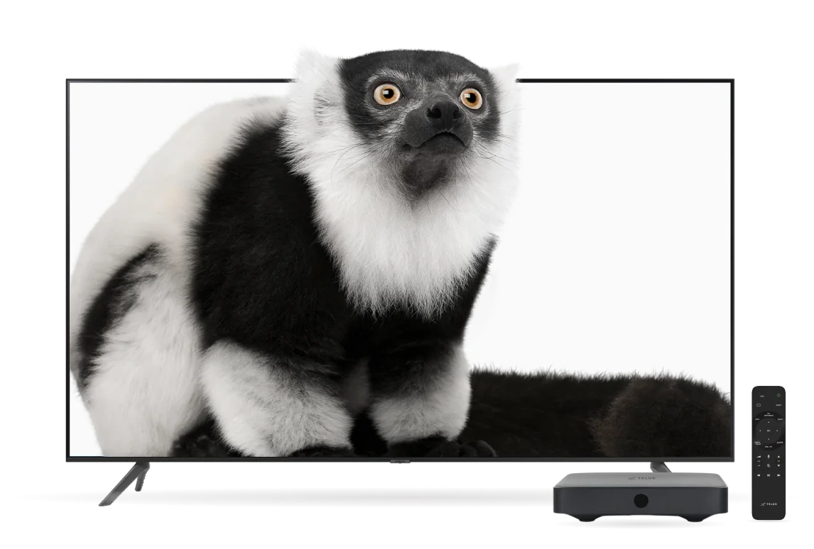 An image showing a TV with a lemur and a TV Box with control beside it.