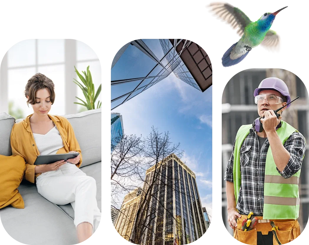 A woman sits on a couch accessing Pure Fibre internet on a tablet, modern buildings against a blue sky in a city, a construction worker talking on a walkie talkie, and a hummingbird is flying over the other images.