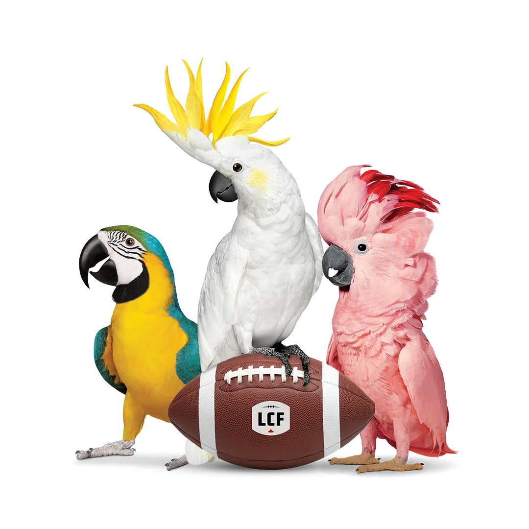 Un ballon de football arborant le logo de la LCF à côté d'un caméléon vert. Il y a le logo de la 113e Coupe Grey au-dessus.