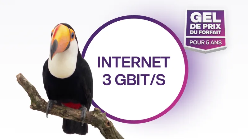 Un toucan sur une branche, à côté du texte « INTERNET 3 GBIT/S » et du badge « Gel de prix du forfait pour 5 ans ».