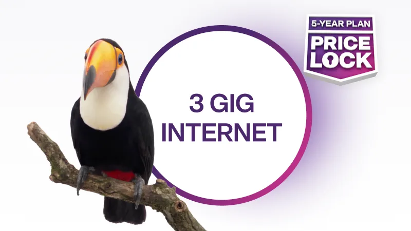 Toucan on a branch next to text reading "3 GIG INTERNET" and a "5-YEAR PLAN PRICE LOCK" badge.