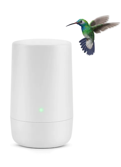 hummingbird hovering beside a telus wifi router