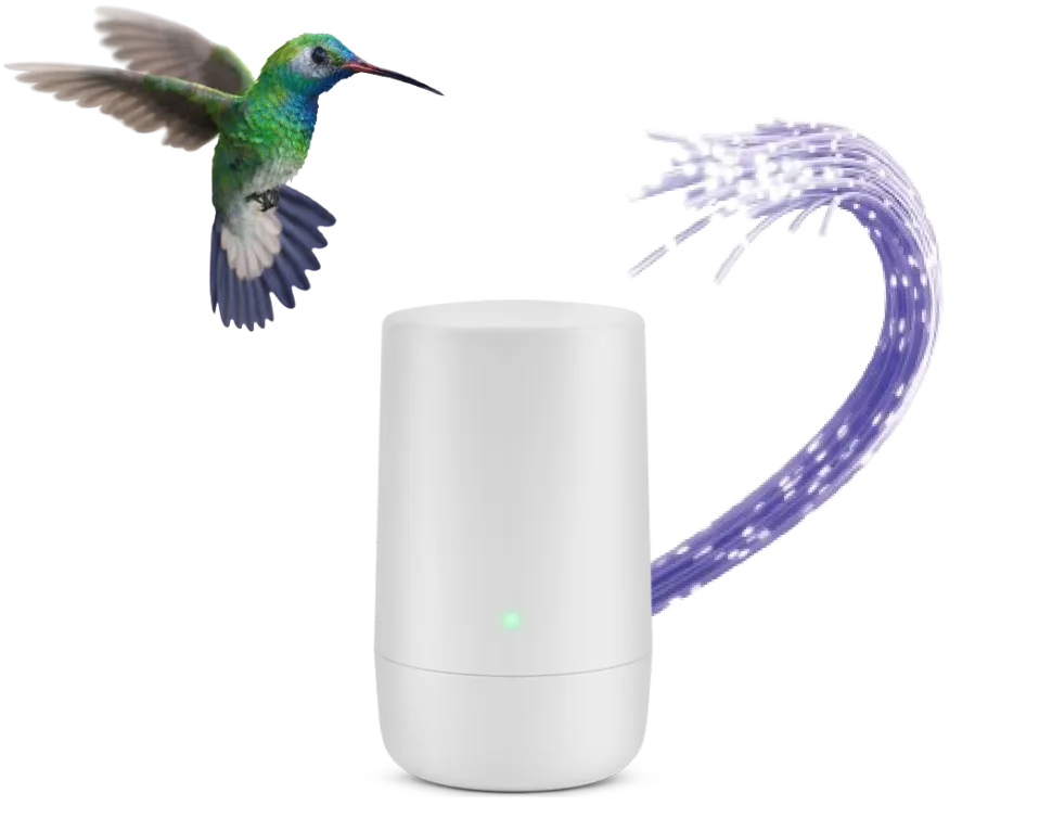 A hummingbird flying toward a Wi-Fi hub that has a fibre optic cable connected to it.