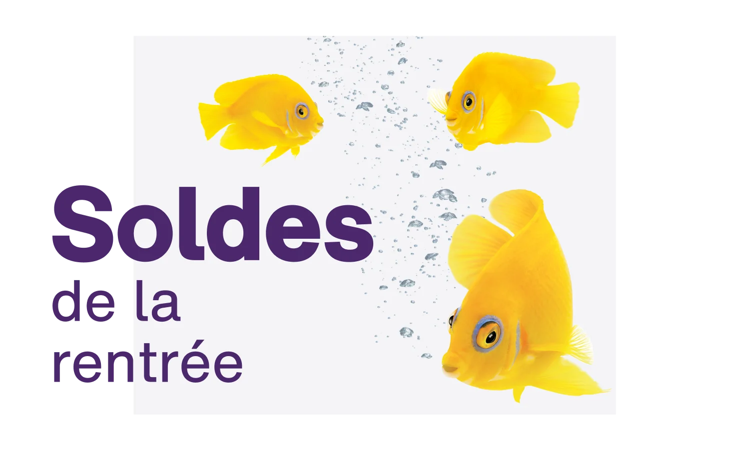 Un poisson jaune nage hors d’un téléphone intelligent avec les mots « Solde de la rentrée scolaire » à côté.