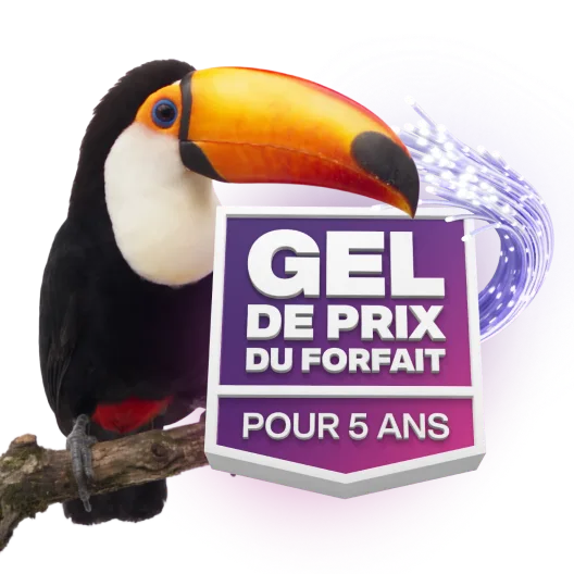 Un toucan sur une branche, à côté du texte du badge « Gel de prix du forfait pour 5 ans ».