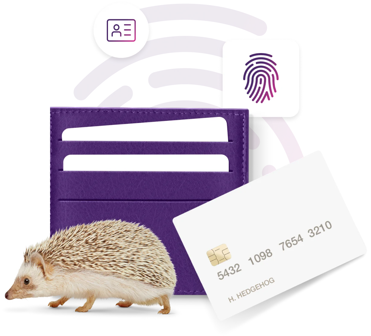 A purple wallet and a hedgehog.