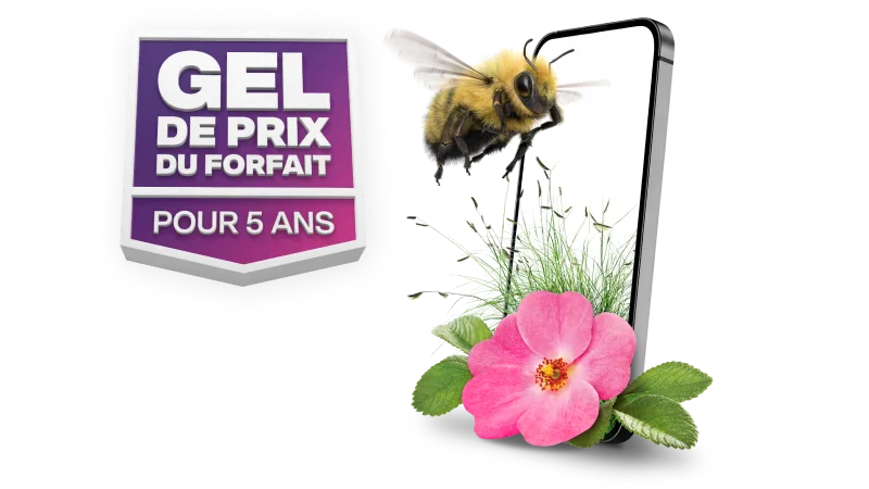 « GEL DE PRIX DU FORFAIT POUR 5 ANS ». Un bourdon vole vers un téléphone intelligent avec une fleur de rose sauvage du désert à côté.