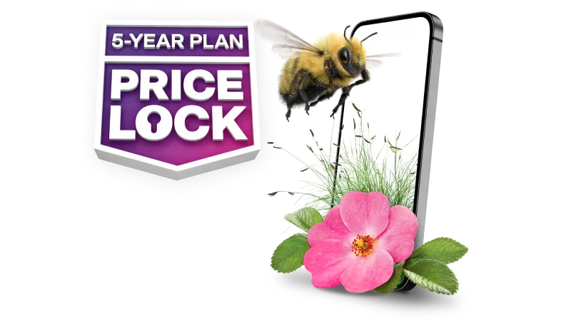 '5-YEAR PLAN PRICE LOCK' A bumblebee flies towards a smartphone with a wild desert rose flower sitting next to it.