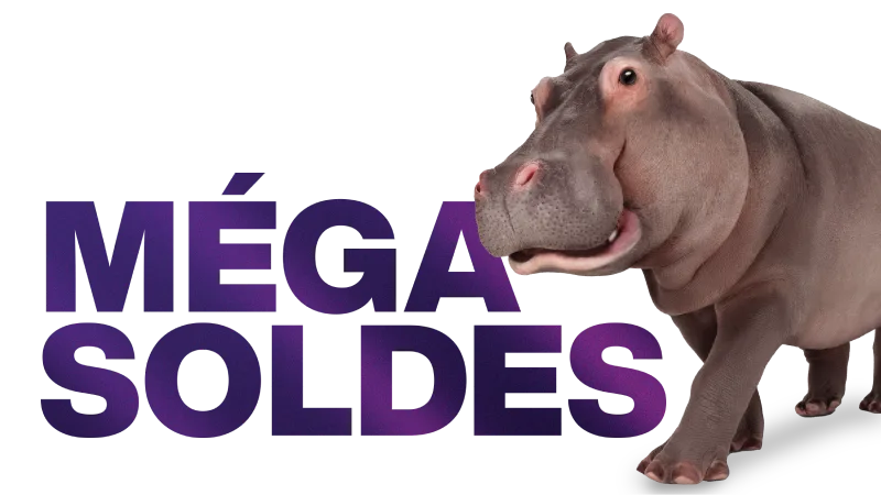 Un hippopotame couché à côté d'une affiche sur laquelle on peut lire « MÉGA SOLDES ».