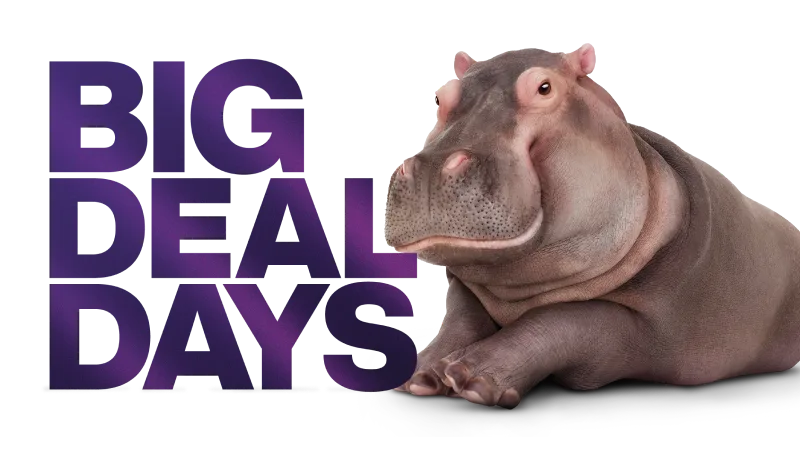 A hippo laying beside a graphic that reads 'Big Deal Days'.