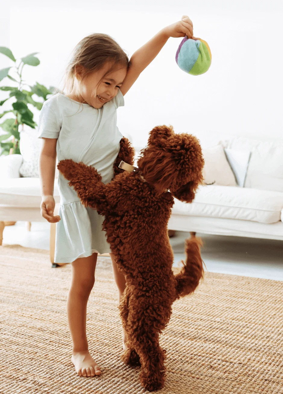 A young girl playing with a dog at home.