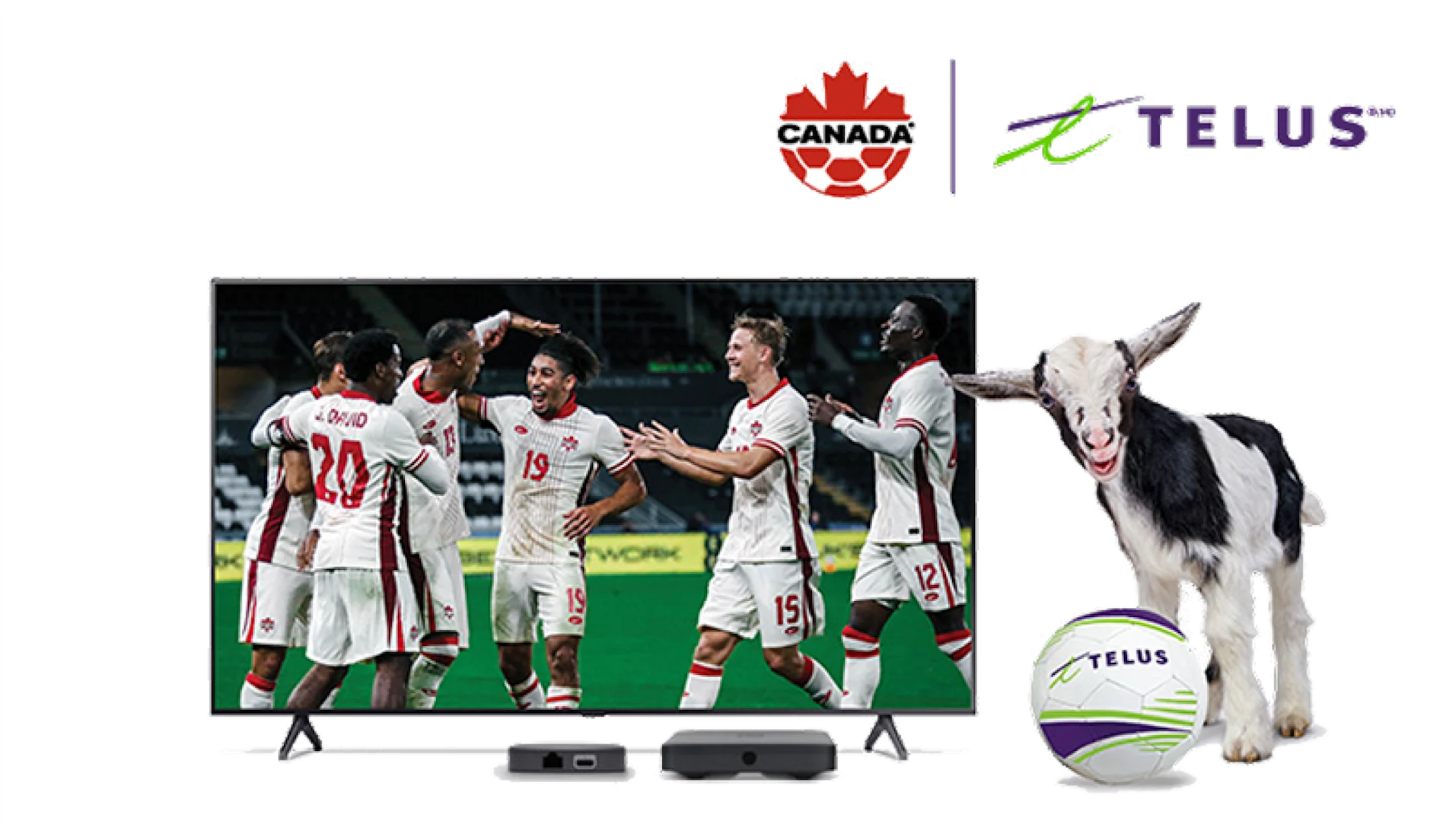 An image featuring a TELUS TV with a soccer team on screen and a goat critter. A TELUS and Canada's National soccer team can also be seen at the top right corner.