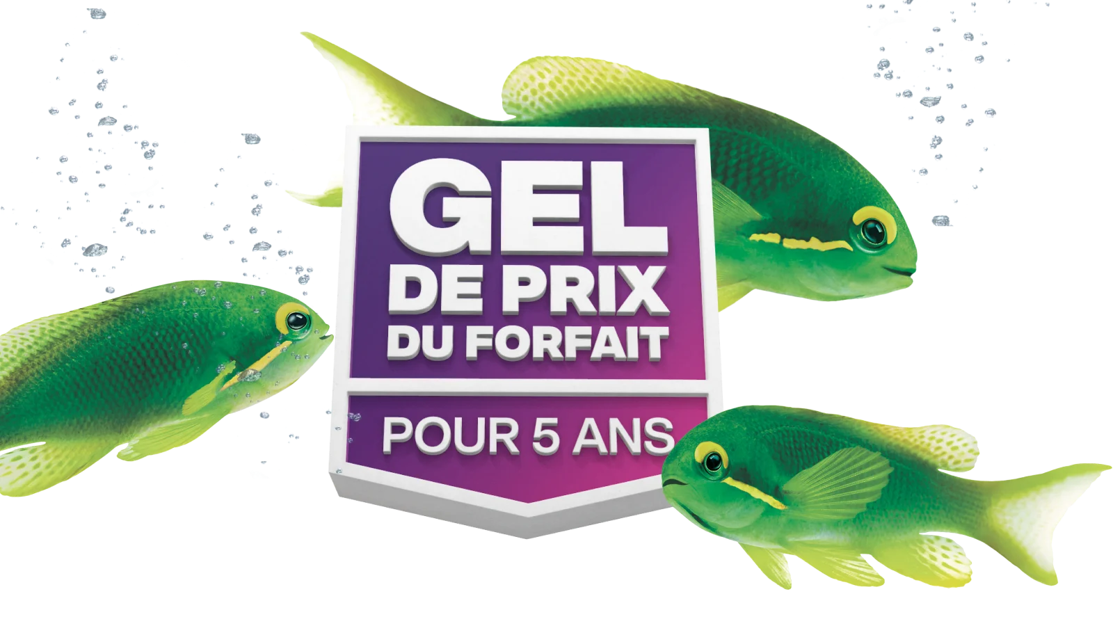 Des poissons verts nagent autour d’un badge qui indique « GEL DE PRIX DU FORFAIT POUR 5 ANS ».