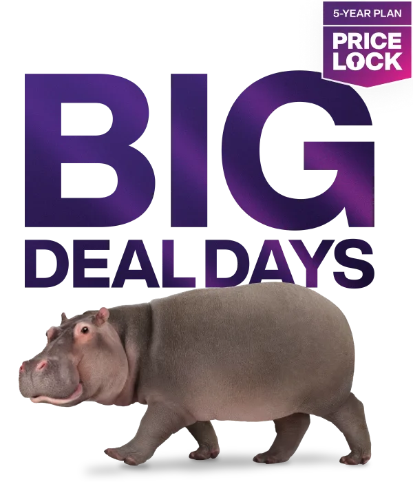 'Big Deal Days'. A hippo looking towards the camera as it walks by.
