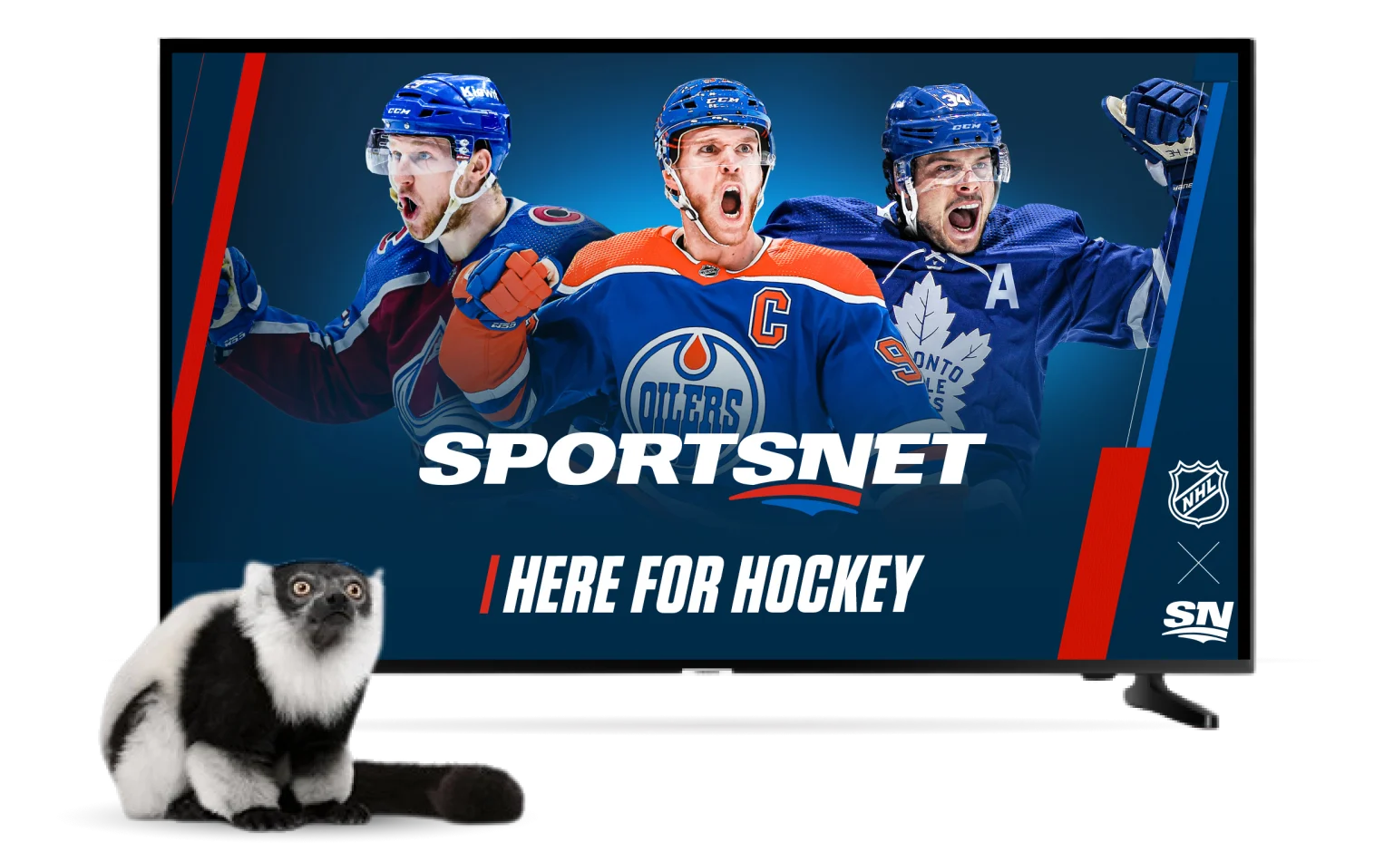 On a TV, three hockey players in different uniforms scream enthusiastically as a terrified lemur watches. 