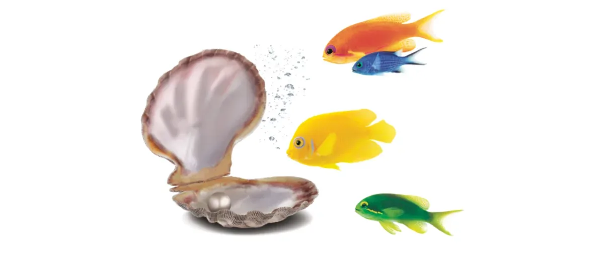 An image showing fishes near a clam.