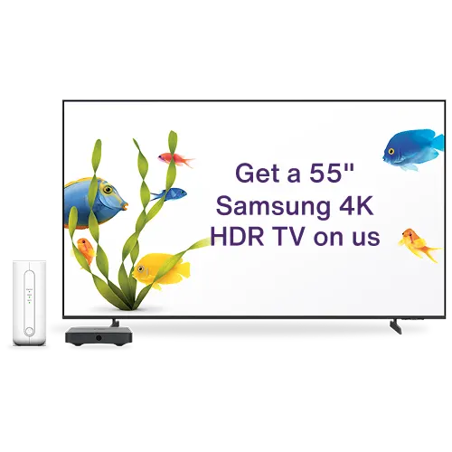 A large TV displaying fish swimming and the text: Get a 55” Samsung 4K HDR TV on us. Next to the TV is a TELUS modem.