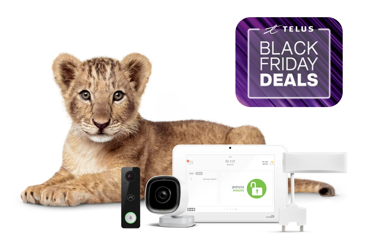 A lion cub stares reassuringly at you. In front of her is a TELUS SmartHome Security bundle.