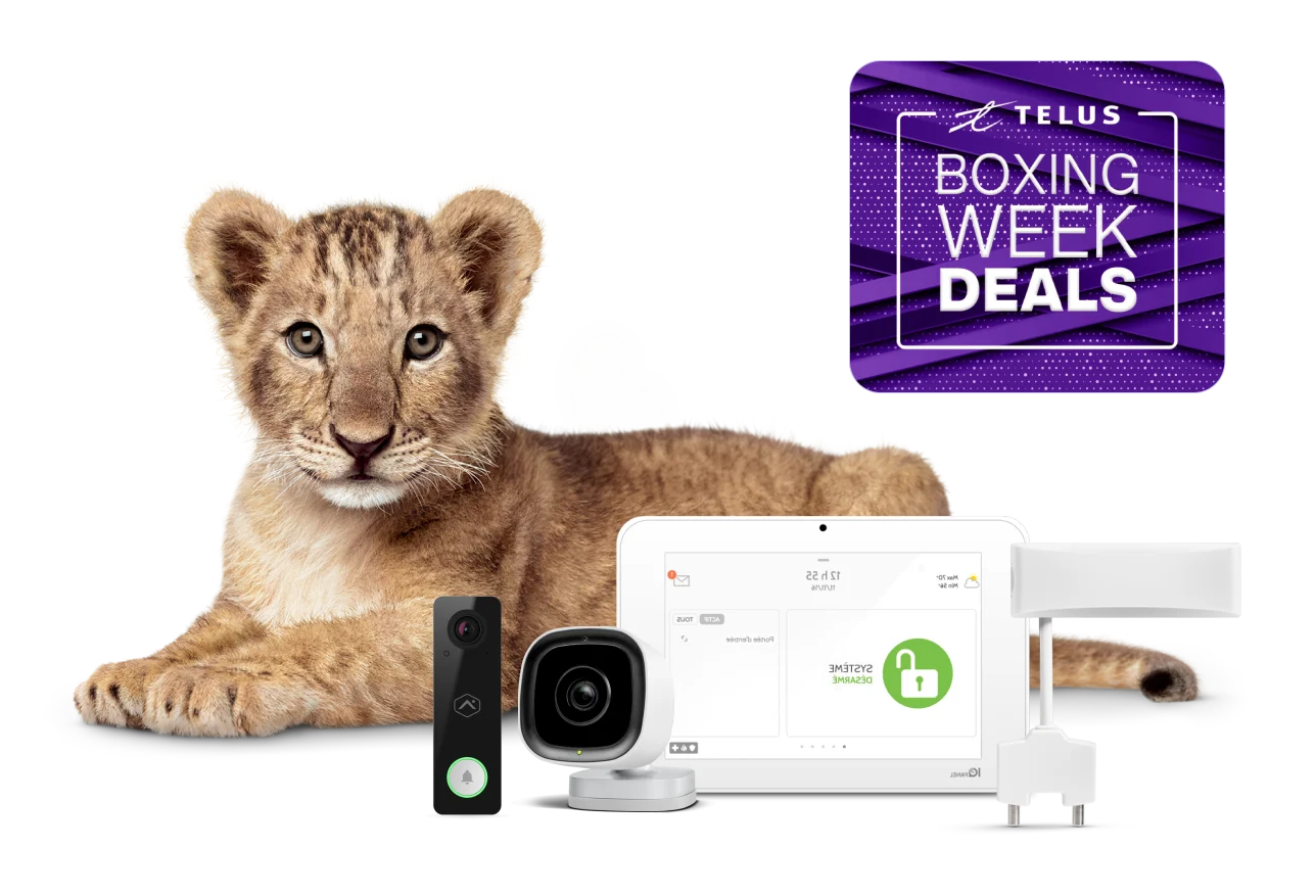 A lion cub stares reassuringly at you. In front of her is a TELUS SmartHome Security bundle.