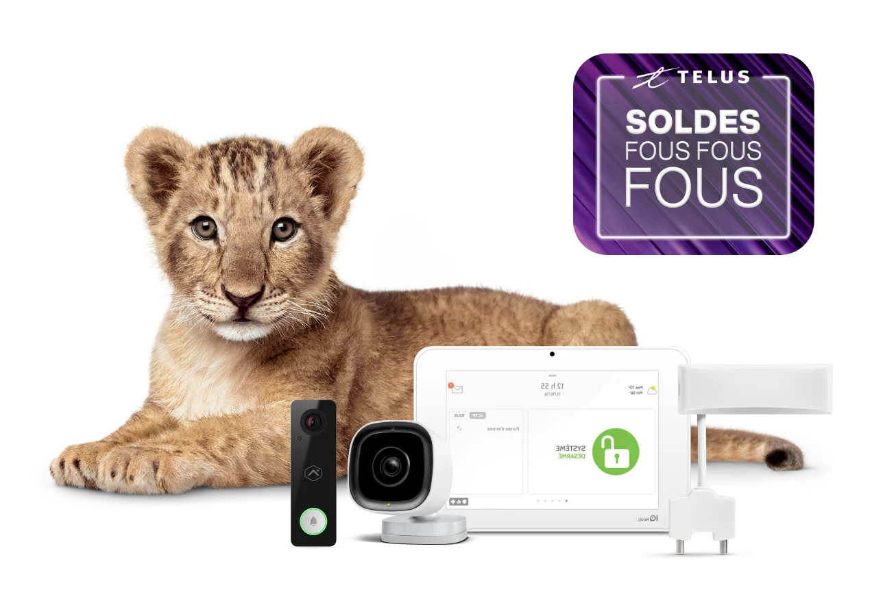 Une image montrant un lionceau avec divers appareils de sécurité SmartHome et un rond sur lequel est écrit « Soldes fous fous fous ».