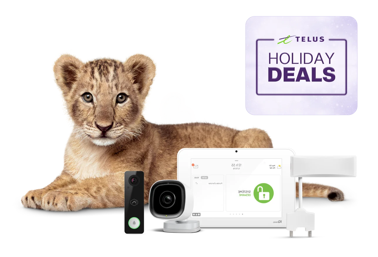 A lion cub stares reassuringly at you. In front of her is a TELUS SmartHome Security bundle.