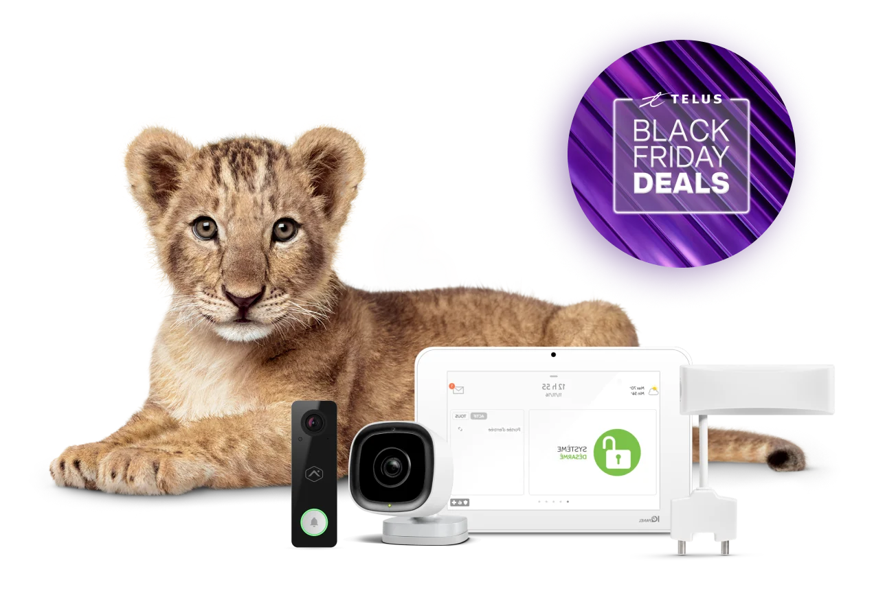 A lion cub stares reassuringly at you. In front of her is a TELUS SmartHome Security bundle.